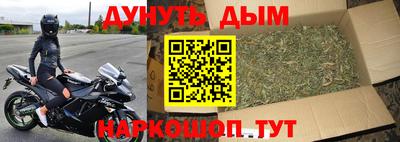прущие грибы Гай