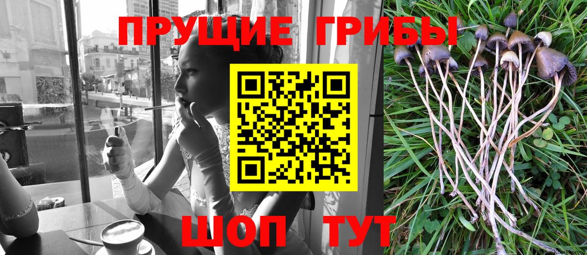 Псилоцибиновые грибы GOLDEN TEACHER Ялта