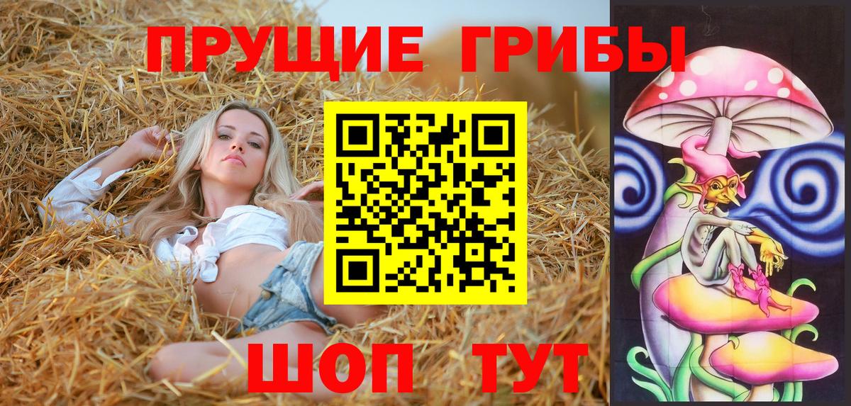 Галлюциногенные грибы Psilocybine cubensis  Вход с VPN  Ялта  Галлюциногенные грибы Magic Shrooms 